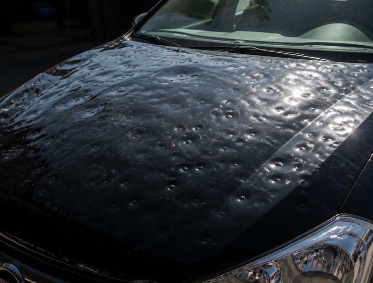 Hail damage before paintless dent repair — Hood — dense hail dimpling